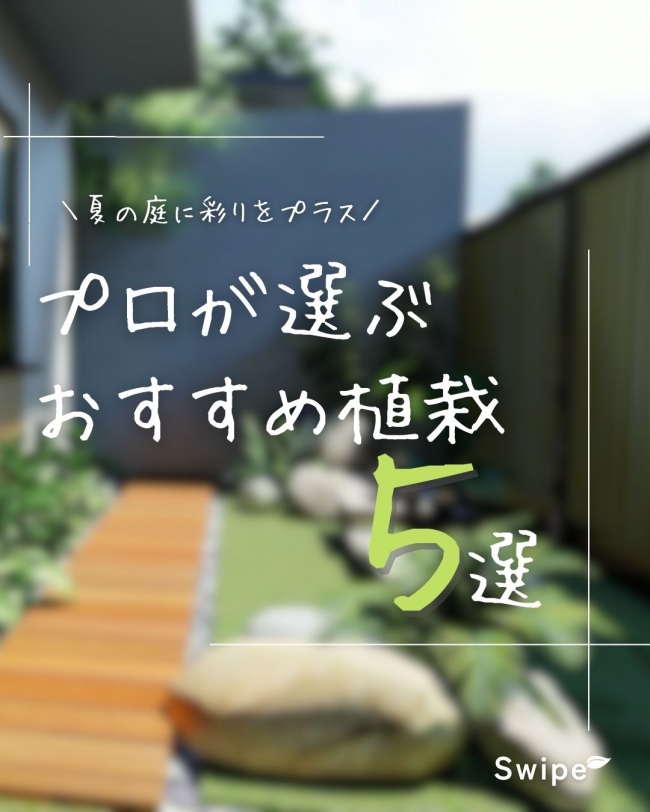 \夏の庭に彩りをプラス/プロが選ぶおすすめ植栽5選