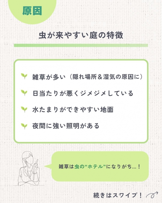 虫が集まる庭