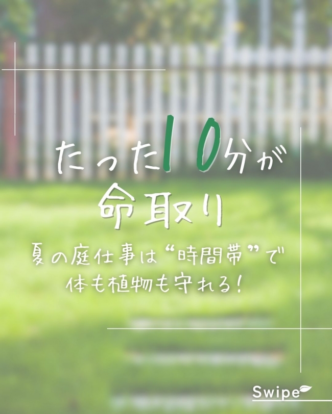 10分が命取り。 夏の庭仕事は“時間帯”で体も植物も守れる！
