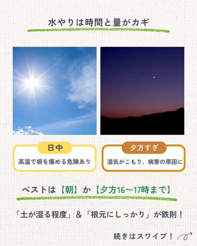 10分が命取り。