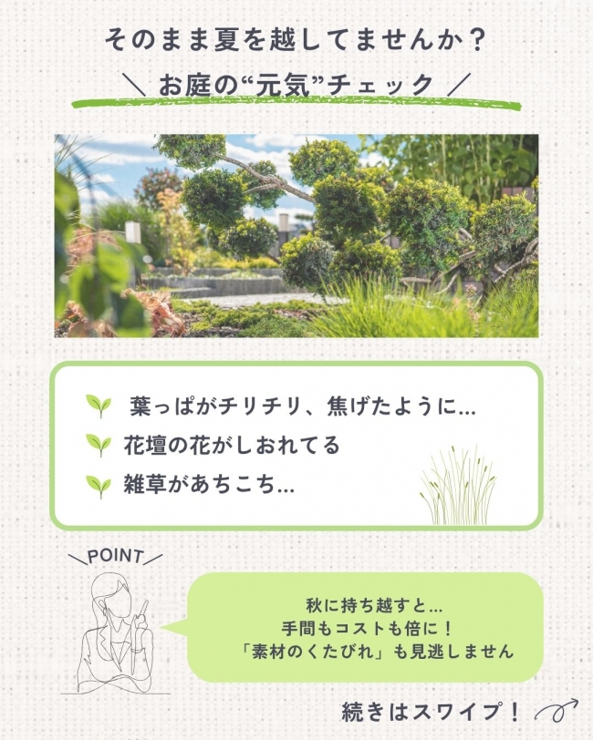 庭と外構の「夏疲れ」セルフチェック