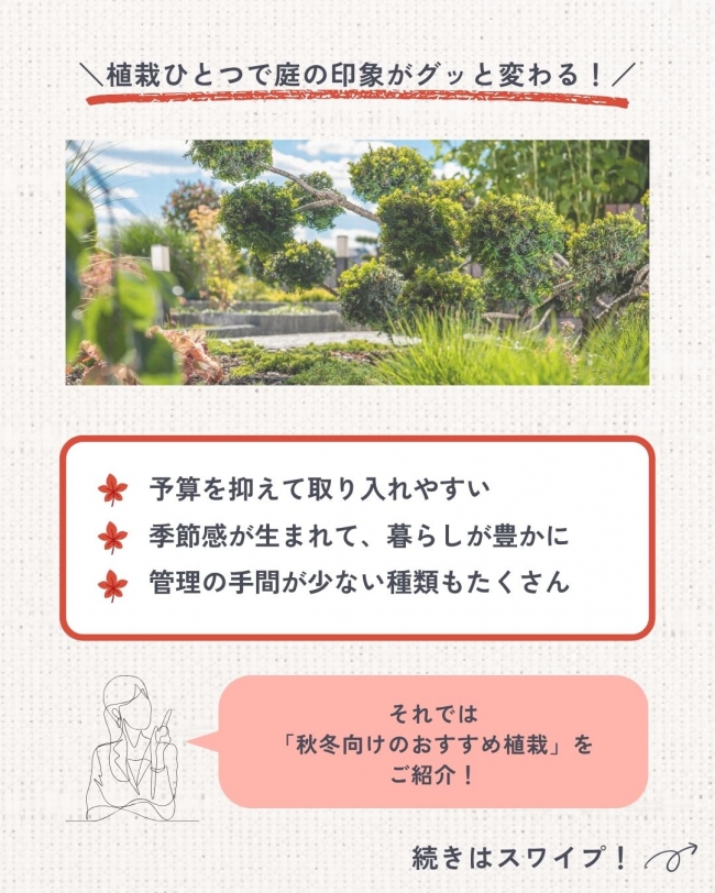 プロが選ぶ秋冬のおすすめ植栽5選