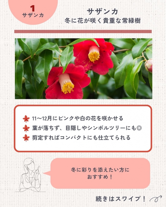 プロが選ぶ秋冬のおすすめ植栽5選