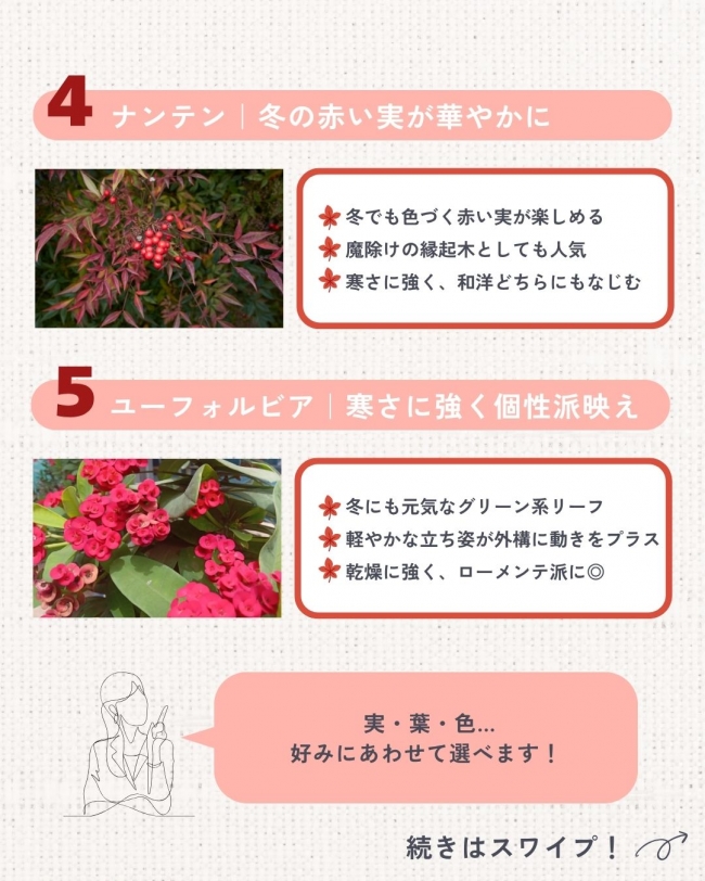 プロが選ぶ秋冬のおすすめ植栽5選