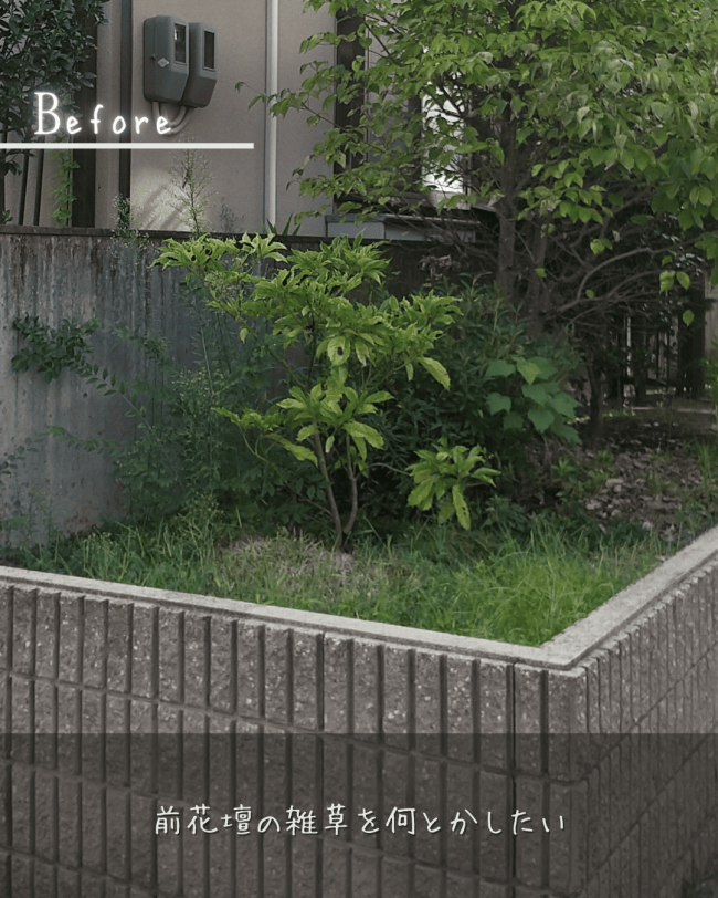 落ち着いた街並みに映える家