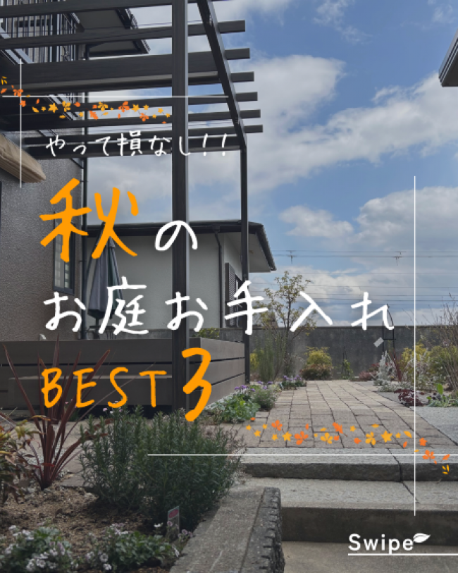 秋のお庭お手入れ ベスト3