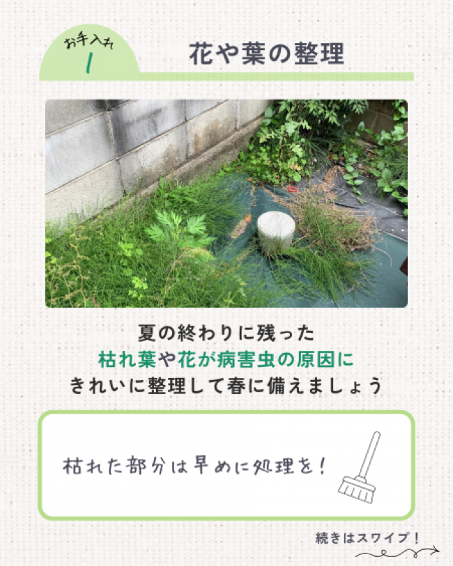 秋のお庭お手入れ