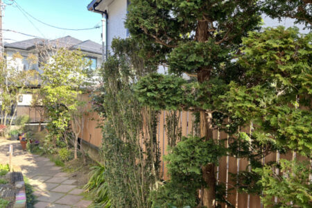 目隠しフェンス